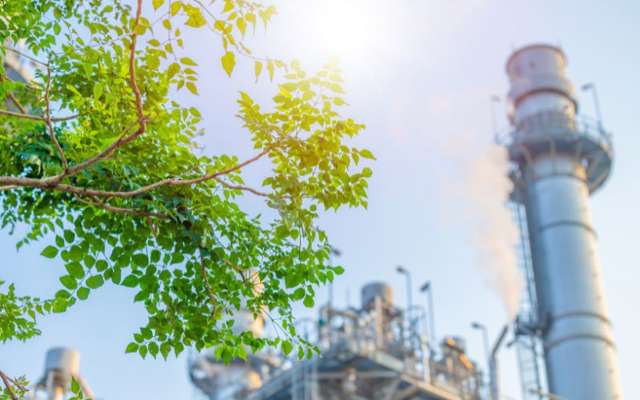 Grüner Ast mit Kraftwerk im Hintergrund