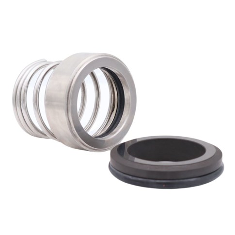 SR2 Gleitringdichtung