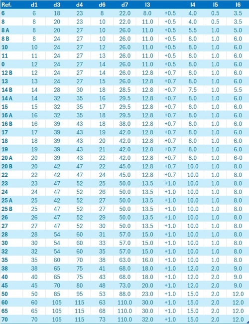 BT Gleitringdichtung