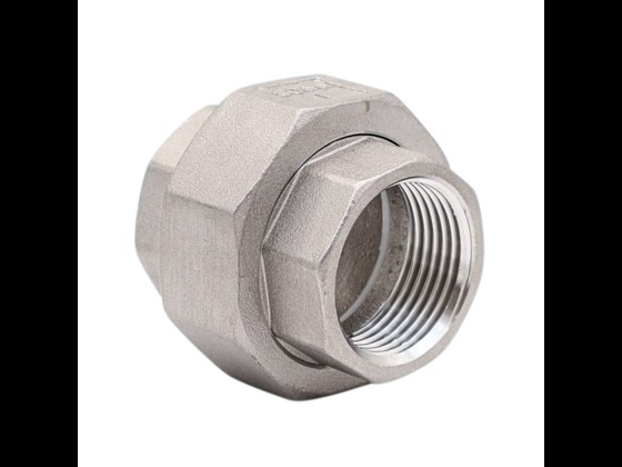 Edelstahl-Union mit Muffe/Muffe und Steckverbindung aus Teflon, perfekt für hohe Hygienestandards in der Lebensmittelproduktion. Jetzt kaufen!