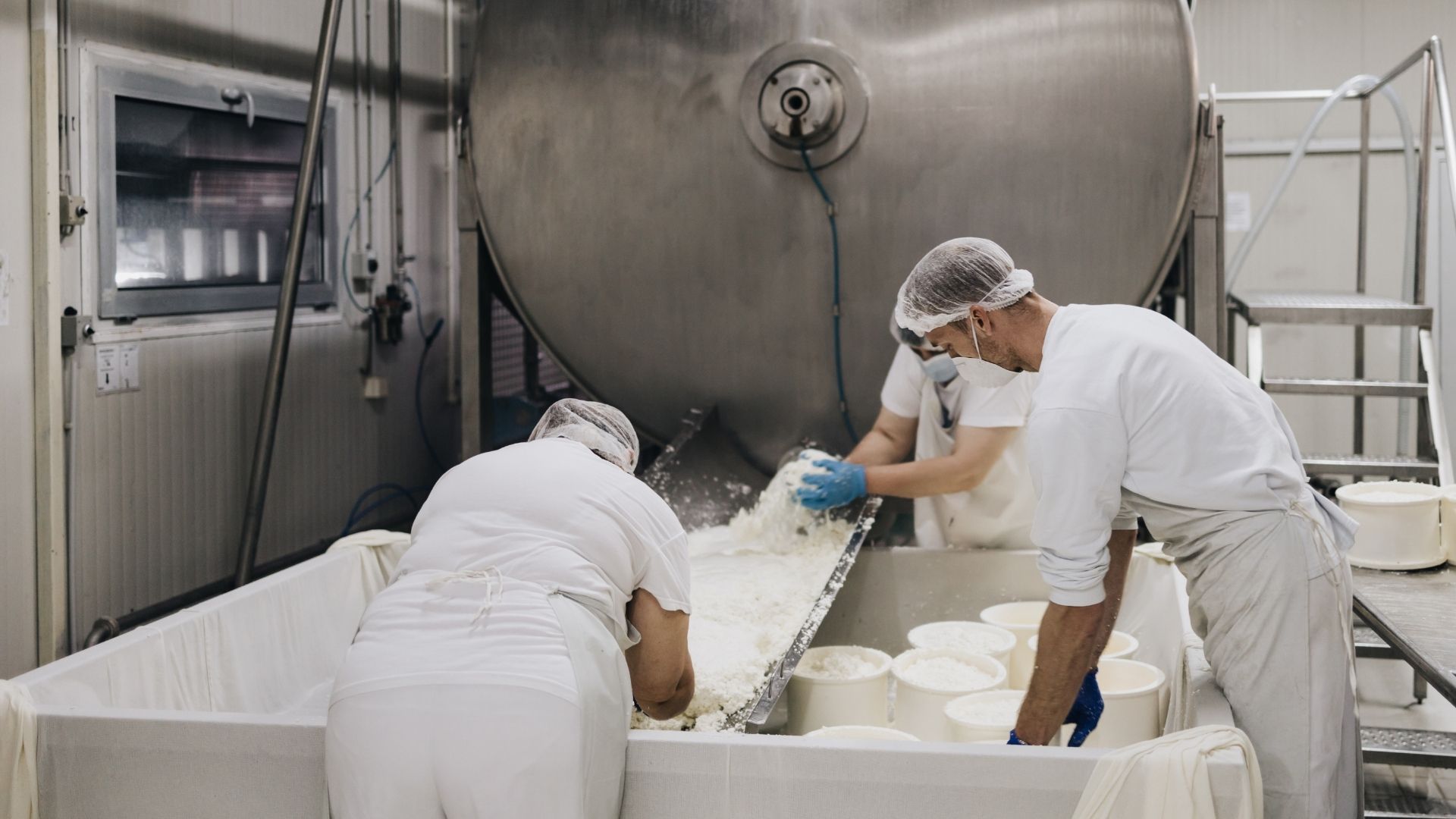 Wie wir Molkereien helfen