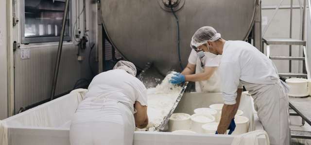 Wie wir Molkereien helfen