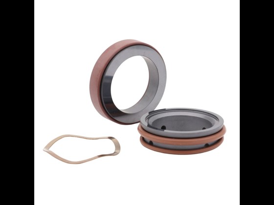 Alfotech's JOHNSON Sterilobe Gleitringdichtung ist von hoher Qualität und passt zur Johnson Sterilobe Pumpe. Bestellen Sie noch heute in unserem Webshop.
