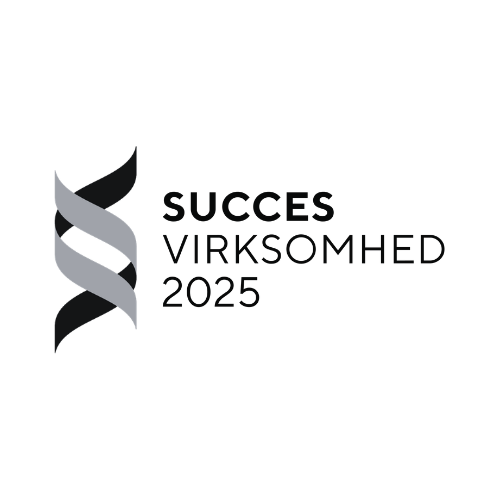 Succesvirksomhed 2025