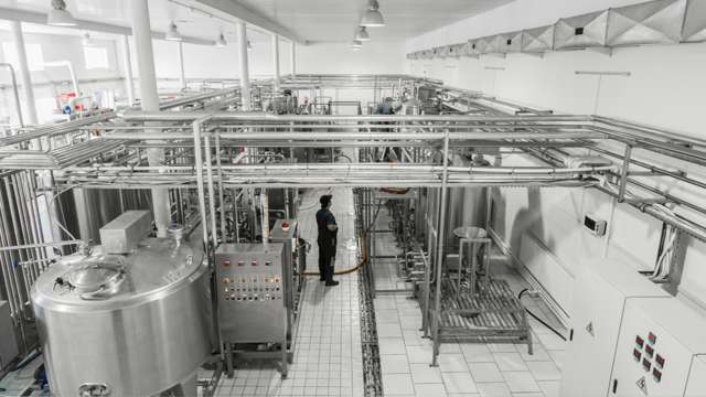 milchfabrik