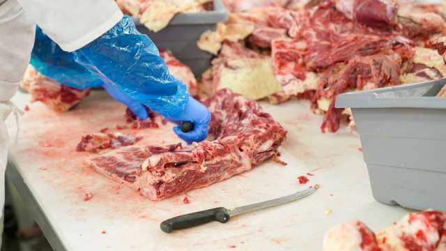 Schneiden von Fleisch