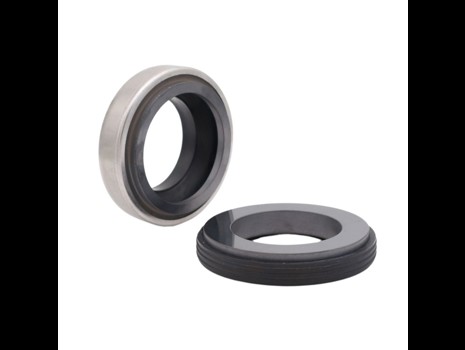 BT Gleitringdichtung