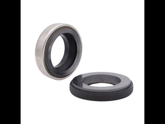 Alfotech´s kompakte BT-Gleitringdichtung mit Gummibalg ist von hoher Qualität. Kurze Arbeitslänge und geeignet für Orte mit wenig Platz. Bestellen Sie jetzt!
